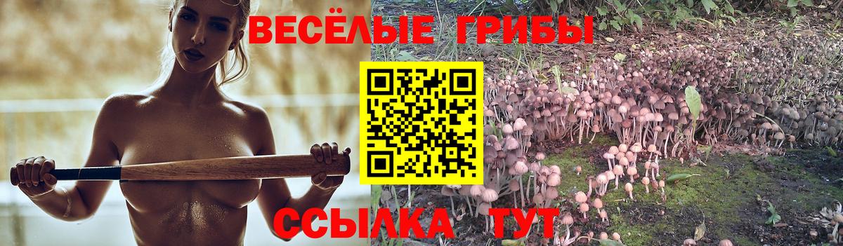 Луховицы  Галлюциногенные грибы Psilocybine cubensis  Вход с VPN  Галлюциногенные грибы GOLDEN TEACHER 